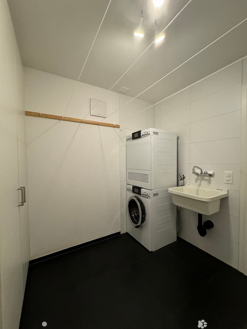 Hochwertige Attika-Wohnung zu vermieten (3)