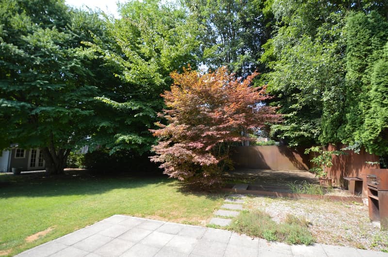 Well-maintained garden, brick pathways, tall trees, grassy area, metal fence, small tree in the center, plants, house in the background.