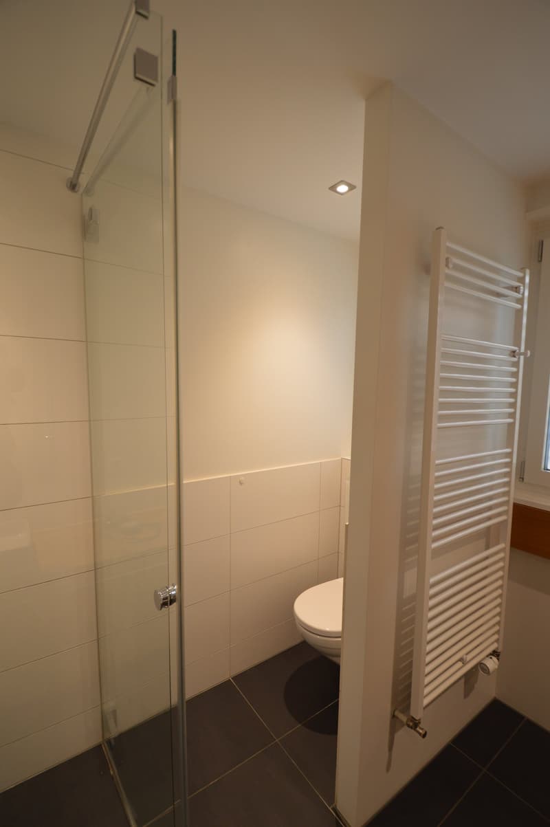 shower stall, toilet, wall mounted radiator, tiled floor