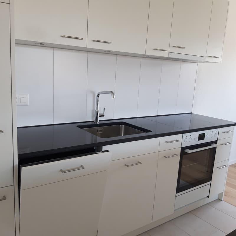 modern kitchen, white cabinets, black countertops, stainless steel sink, faucet, built-in dishwasher, oven
