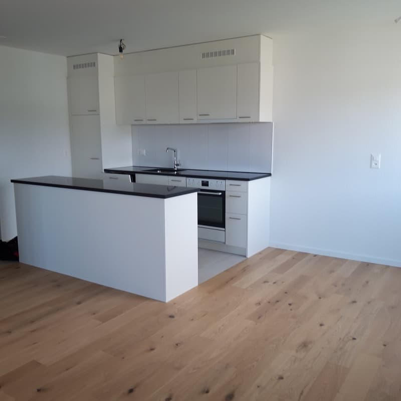 Neu renovierte 3,5-Zimmerwohnung an zentraler Lage mit wunderschöner Aussicht (5)