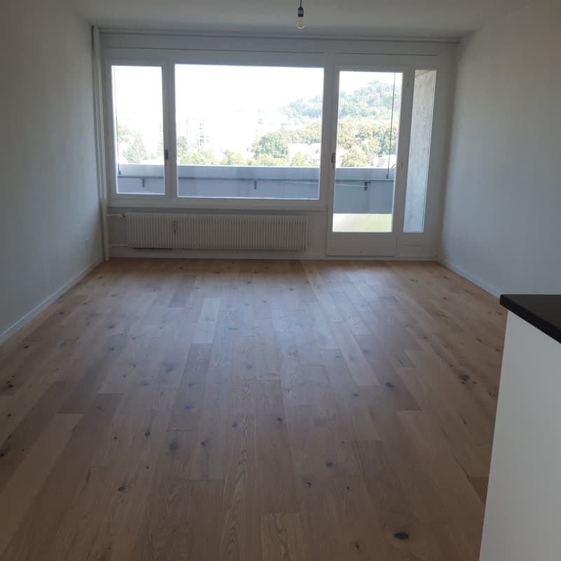 Neu renovierte 3,5-Zimmerwohnung an zentraler Lage mit wunderschöner Aussicht (6)