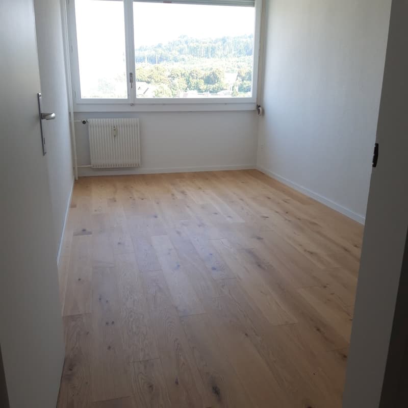 Neu renovierte 3,5-Zimmerwohnung an zentraler Lage mit wunderschöner Aussicht (4)