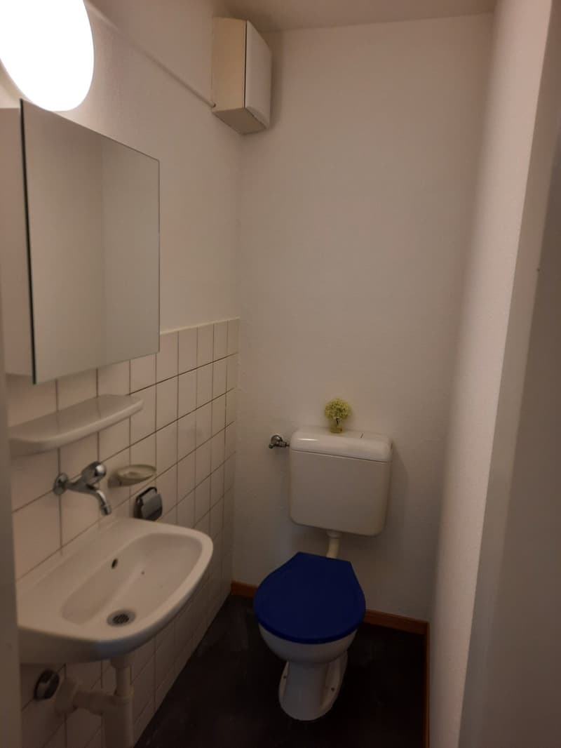 Helle 5.5-Zimmer-Wohnung im 9. Stock mit Panoramablick in Ostermundigen (6)