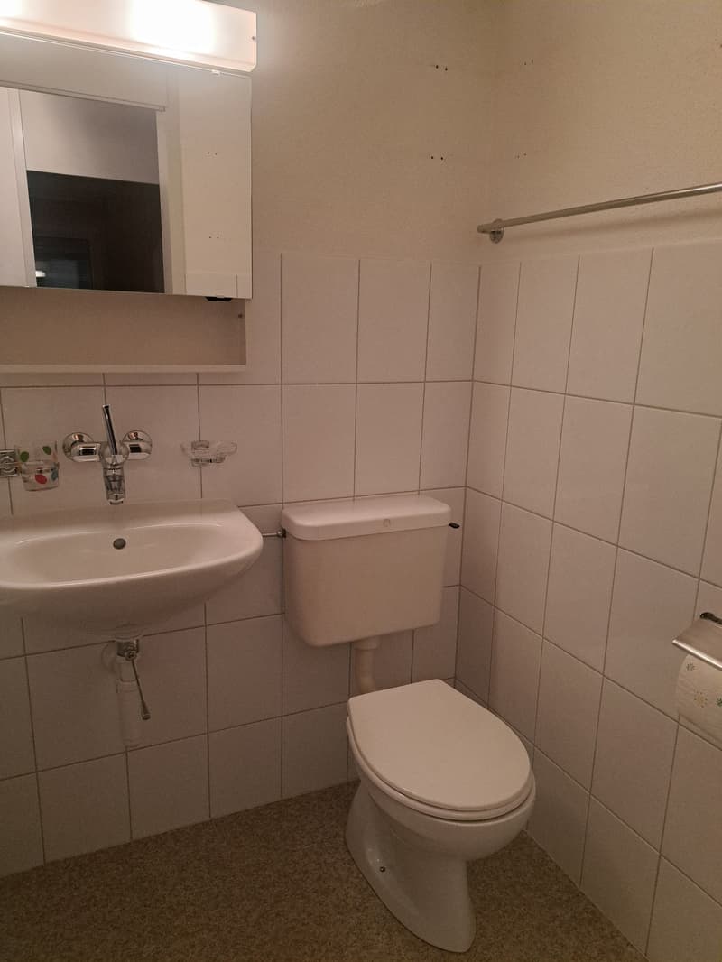 Helle 5.5-Zimmer-Wohnung im 9. Stock mit Panoramablick in Ostermundigen (4)