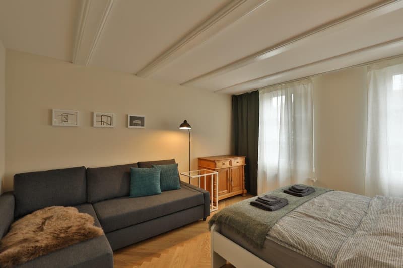 Furnished apartment in Belp, Bern - airport (3)