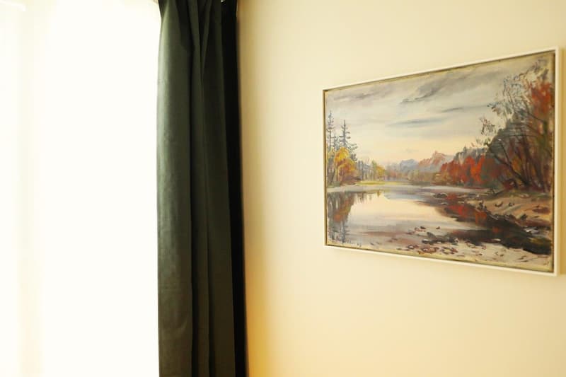 Furnished apartment in Belp, Bern - airport (7)