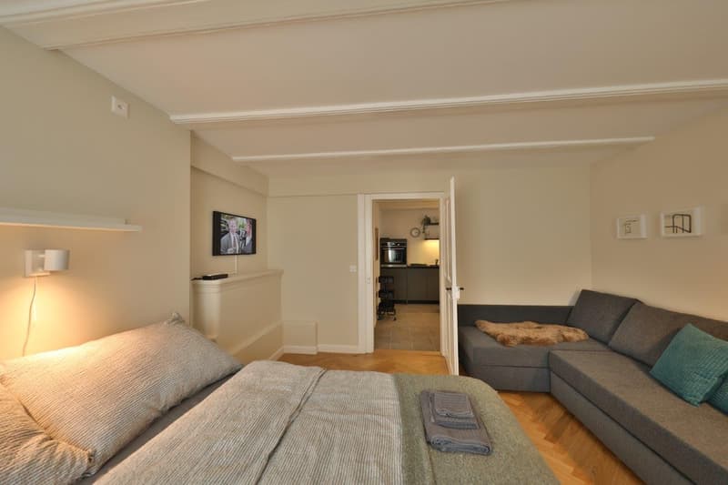 Furnished apartment in Belp, Bern - airport (4)