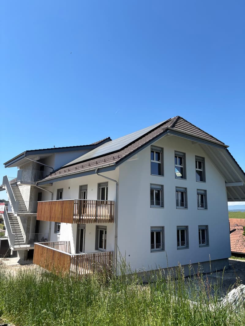 Prima locazione - appartamenti 4.5 locali a Kallnach (2)