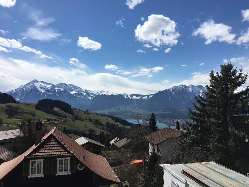 2½ Zimmer-Garten-Wohnung in Goldiwil bei Thun! (2)