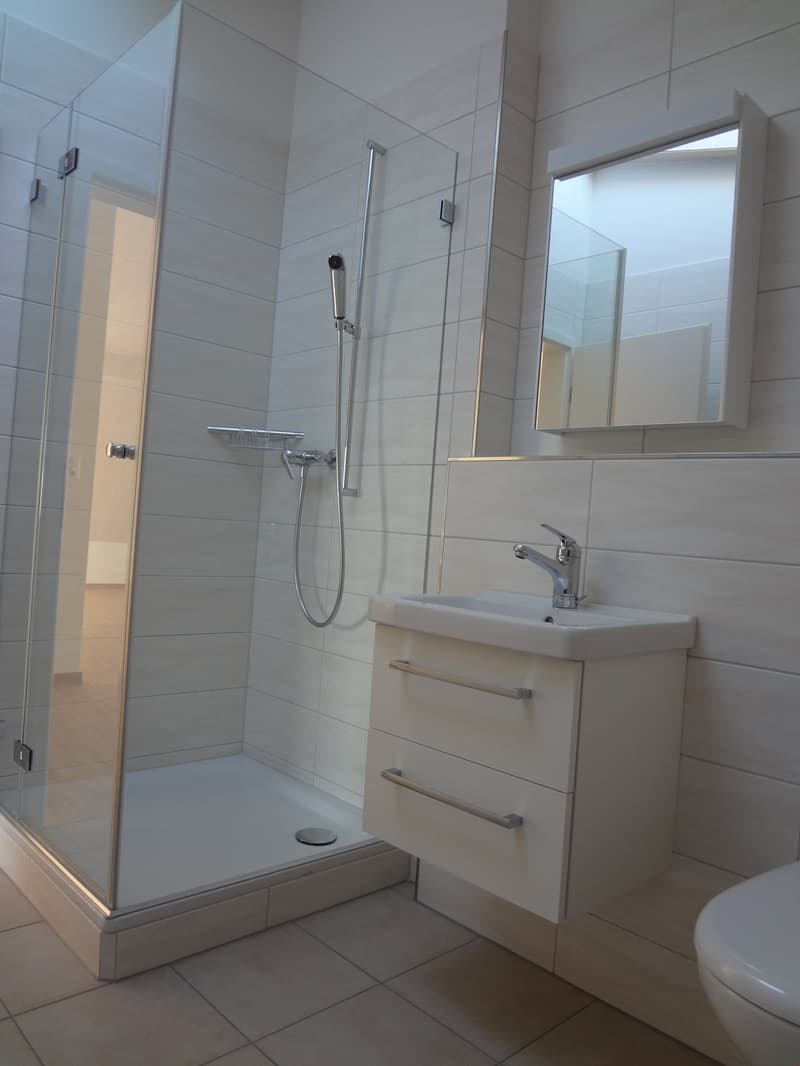 white ceramic tile flooring, modern glass walk-in shower with silver finish showerhead and hand shower, mounted white vanity with silver sink and faucet, white medicine cabinet with mirror, white porcelain toilet