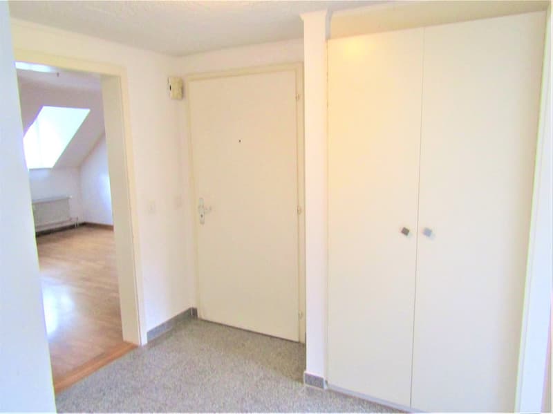 Empty room, gray carpet, wooden floor, white walls, two doors, wardrobes