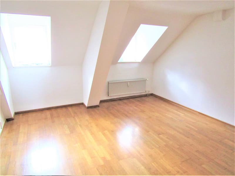 hardwood floor, empty room, white walls, two skylights, white radiator