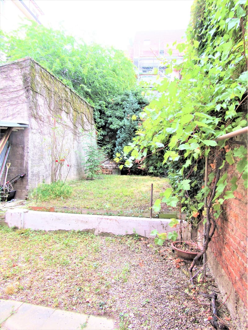 small garden with gravel path, greenery, concrete wall, pot with plants, grass