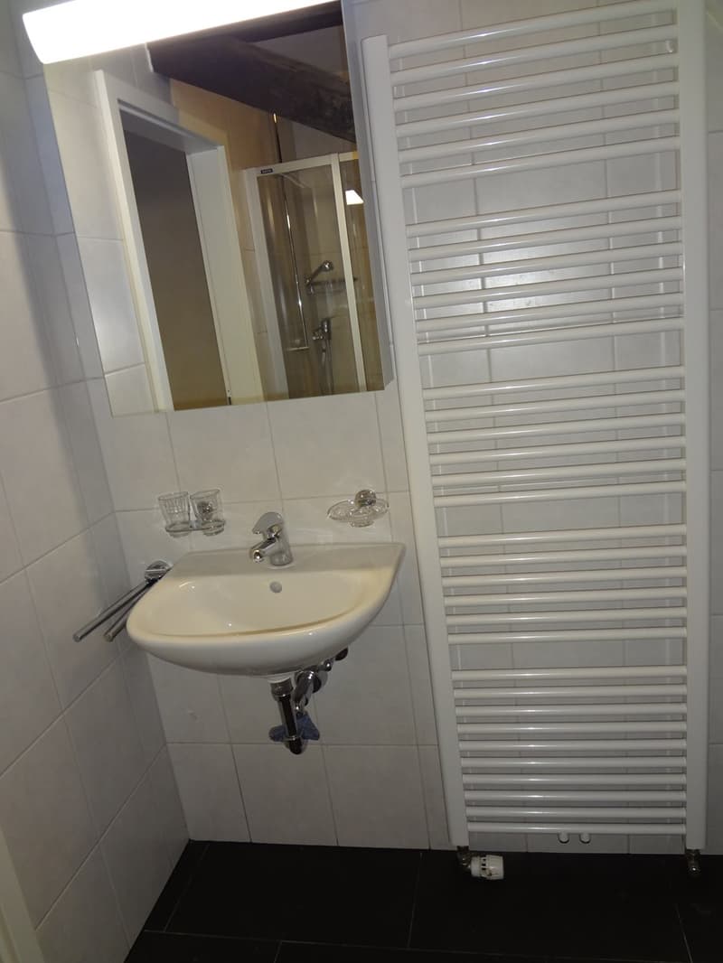 Small bathroom with a sink, mirror, and radiator; adjacent to a shower stall