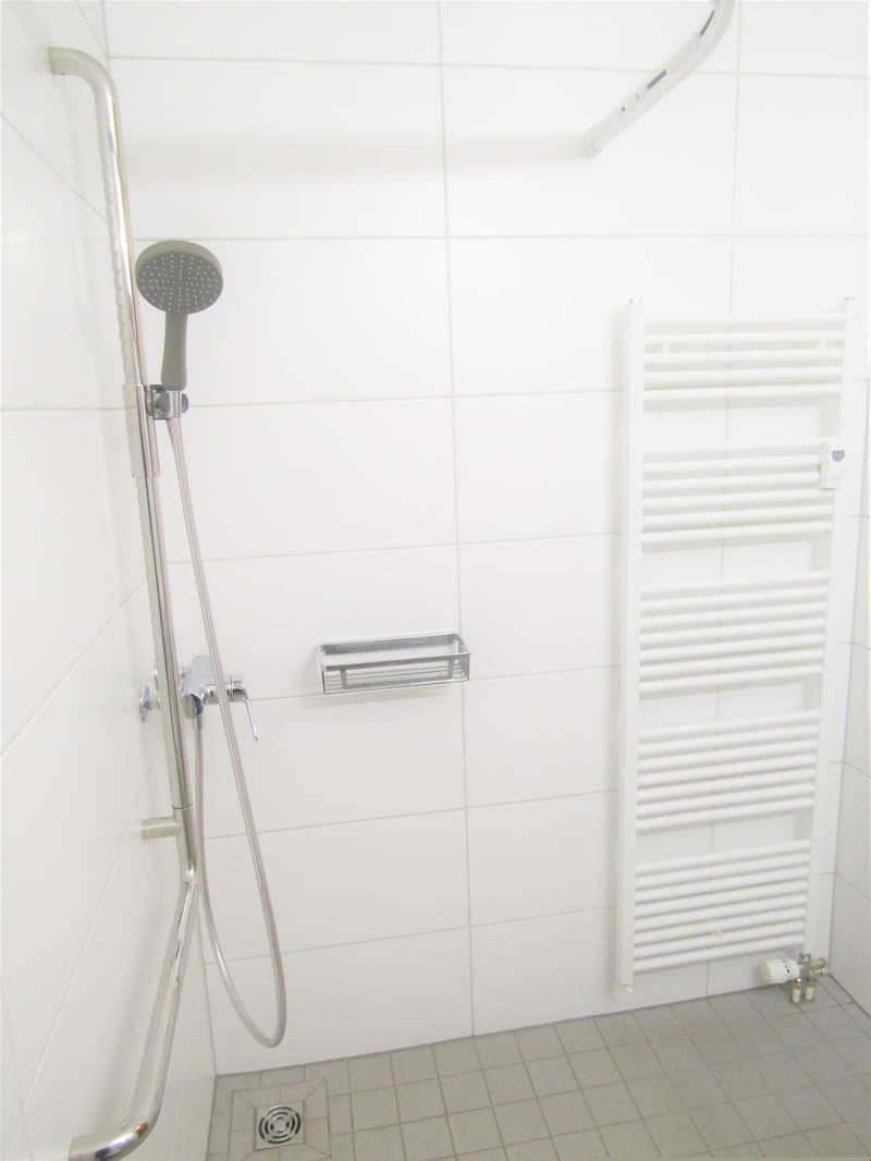 white tiled walls, shower head, shower hose, soap dish, towel rack