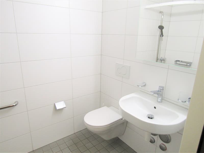 white tiles, white toilet, white sink, mirror, shower head