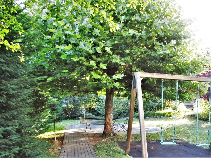 Garten/Spielplatz