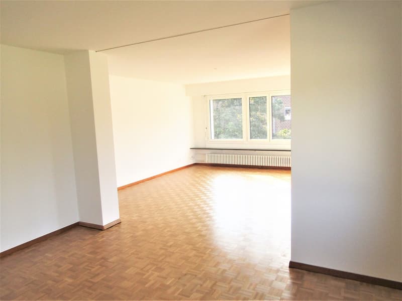 Wohn-Esszimmer
