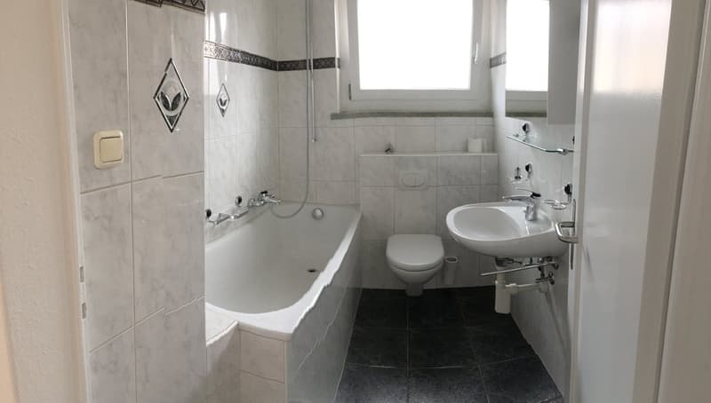 3 1/2-Zimmer-Wohnung 1. OG (3)