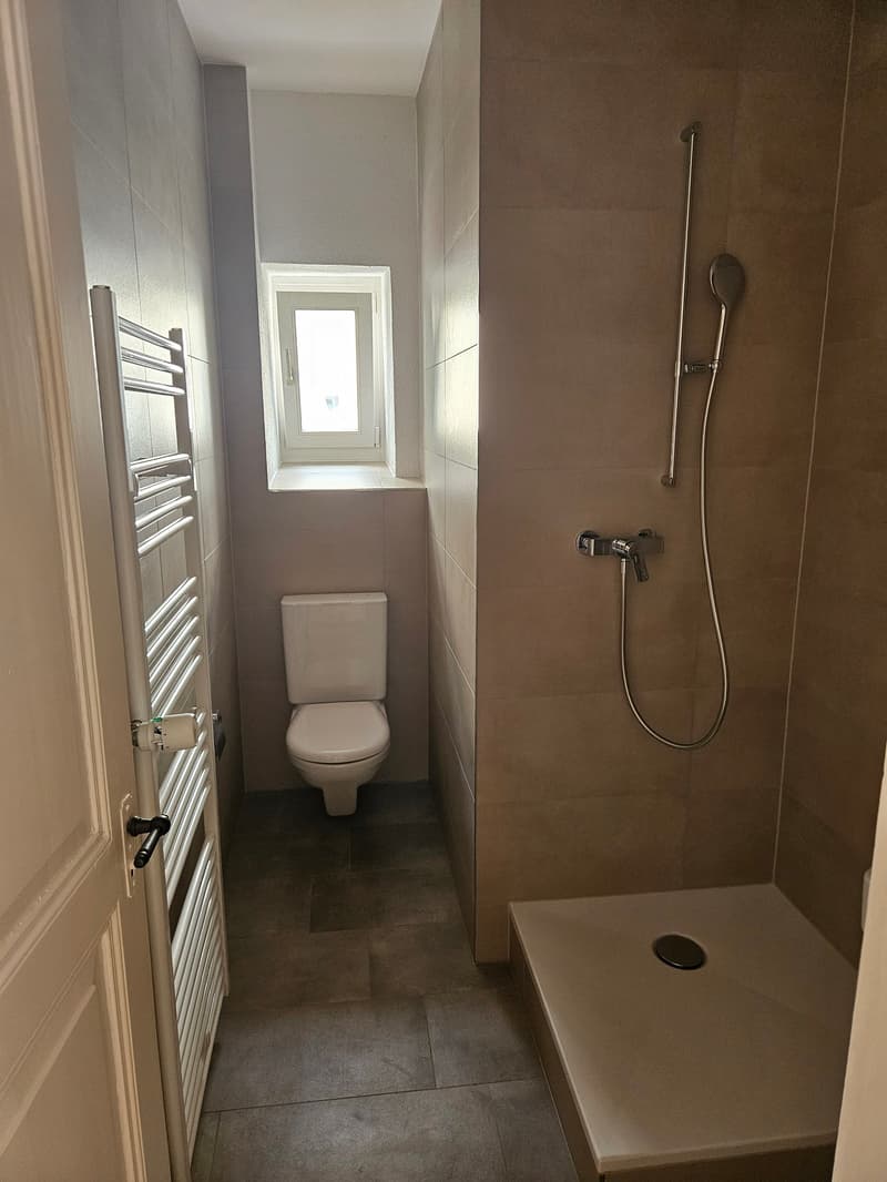 Sanierte 3-Zimmer-Altbauwohnung in Zentrumsnähe (4)