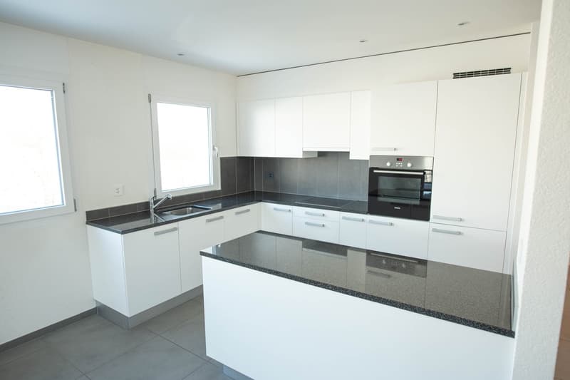 Appartement de 4.5 pièces au rez-de-chaussée (3)