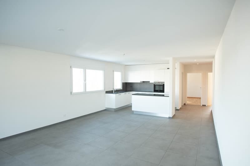 Appartement de 4.5 pièces au rez-de-chaussée (4)