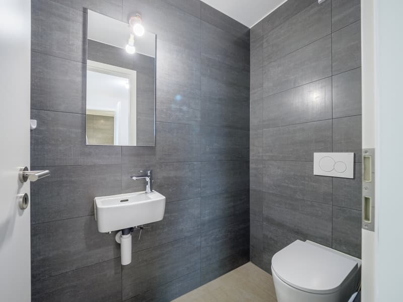 Appartement de 3,5 pièces au 5ème étage (9)