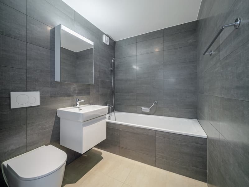 Appartement de 3,5 pièces au 5ème étage (8)