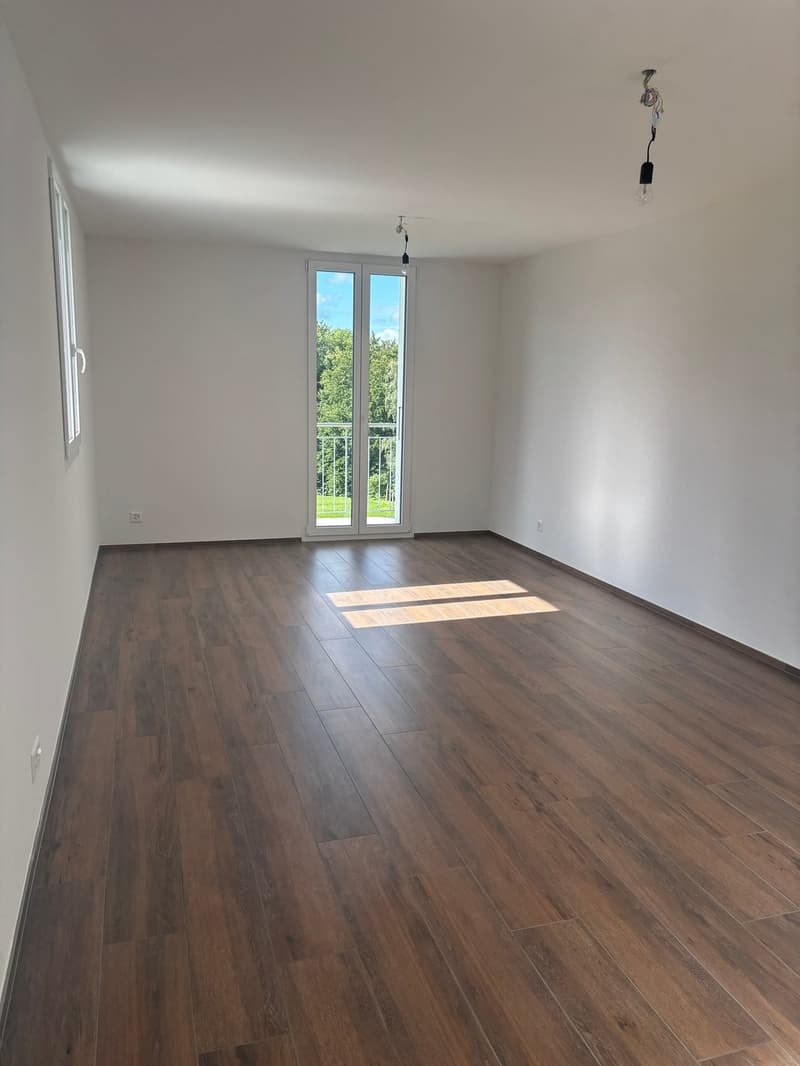 3 Zimmerwohnung zu vermieten (5)