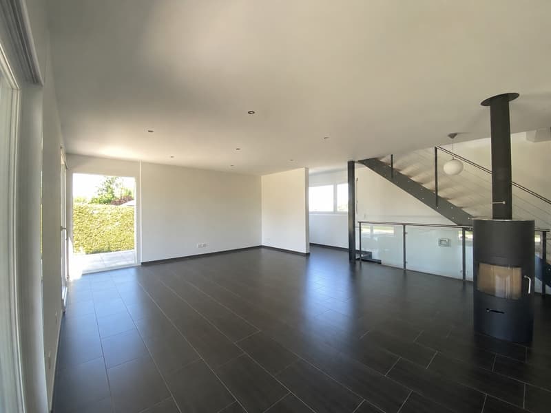 Villa individuelle de 7,5 pièces avec grands espaces extérieurs (4)