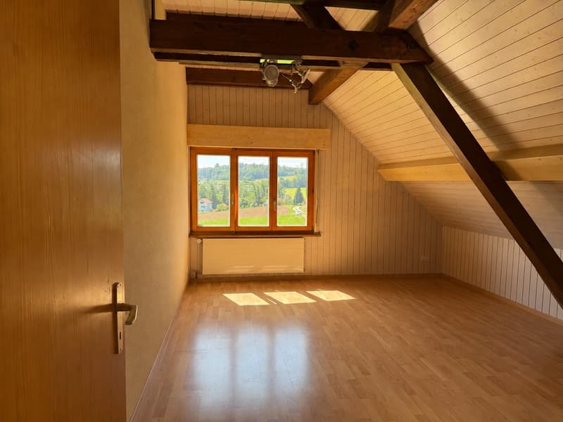 Appartement duplex de 5.5 pièces à louer (7)