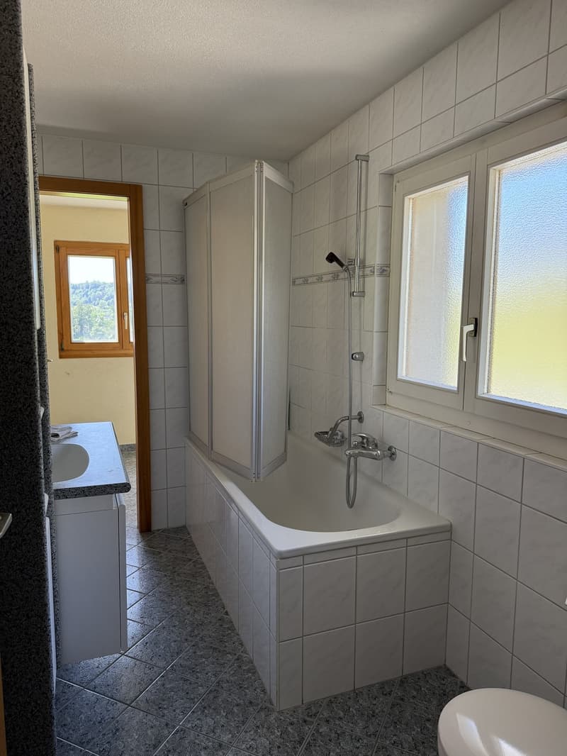 Appartement duplex de 5.5 pièces à louer (10)