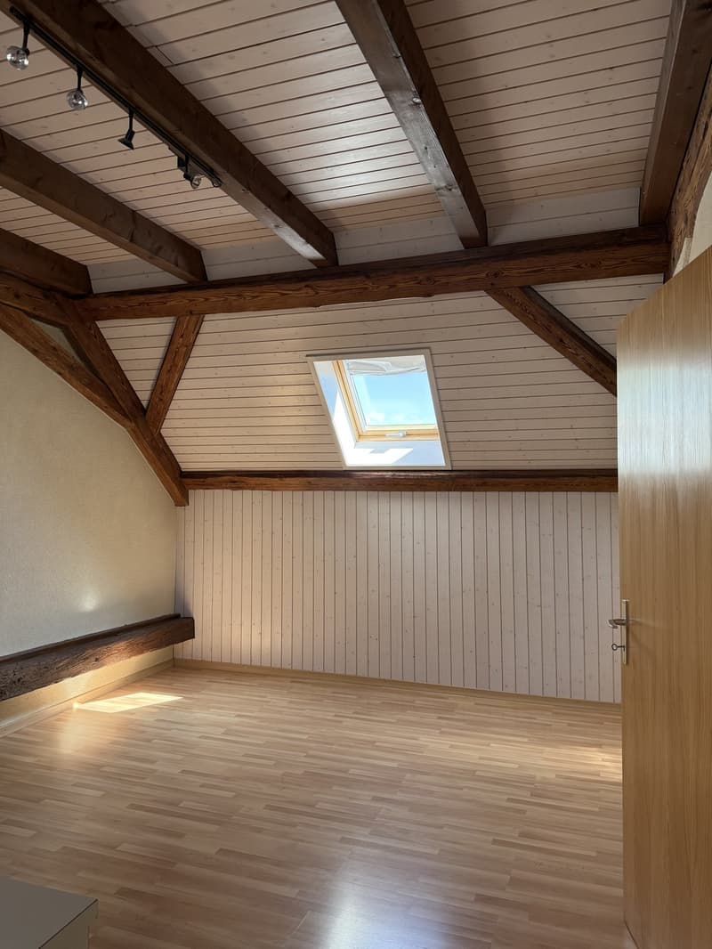 Appartement duplex de 5.5 pièces à louer (8)