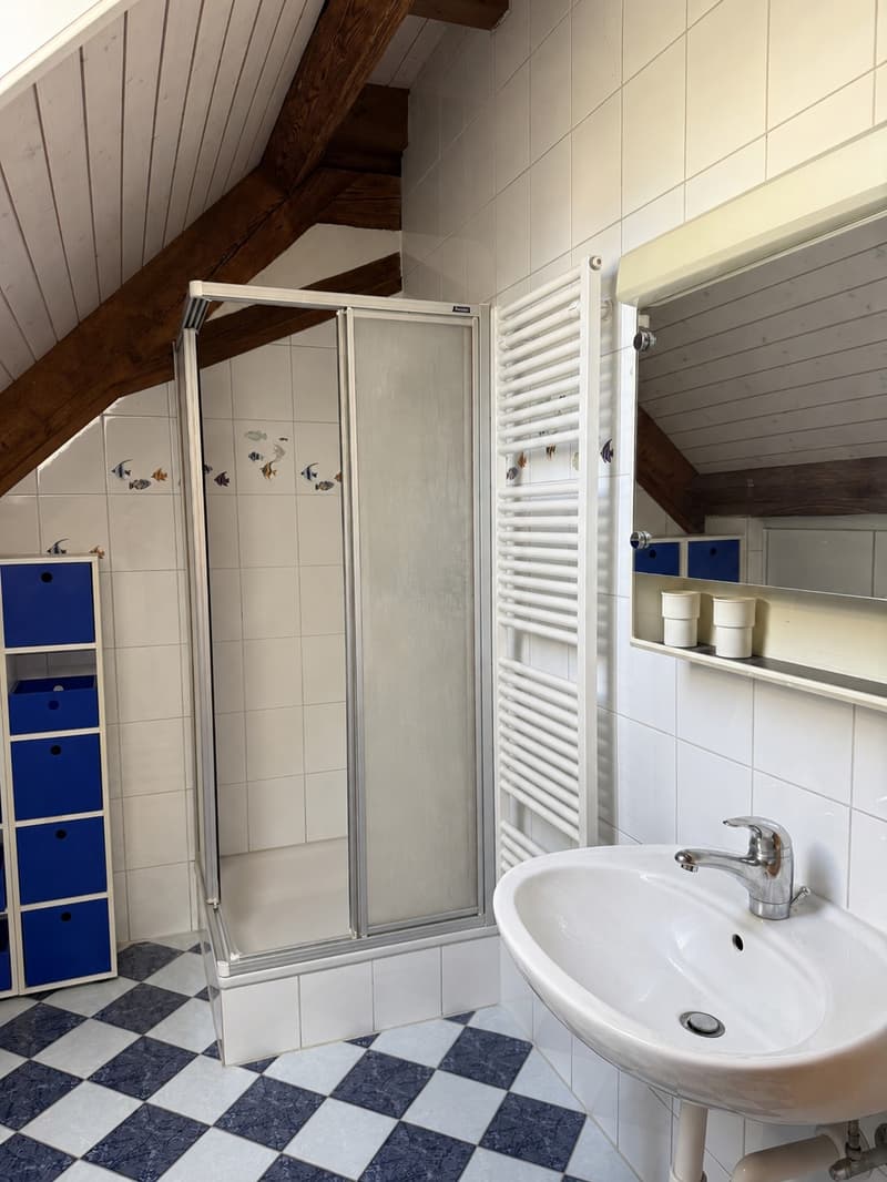 Appartement duplex de 5.5 pièces à louer (11)