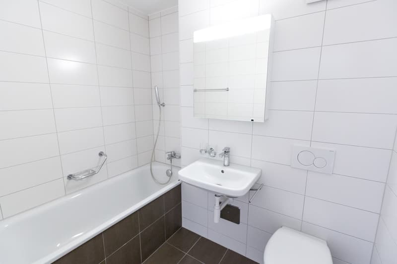 Appartement 3.5 pièces au 3ème étage à louer ! (7)