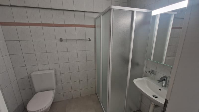 Appartement de 4.5 pièces au 3ème étage (7)