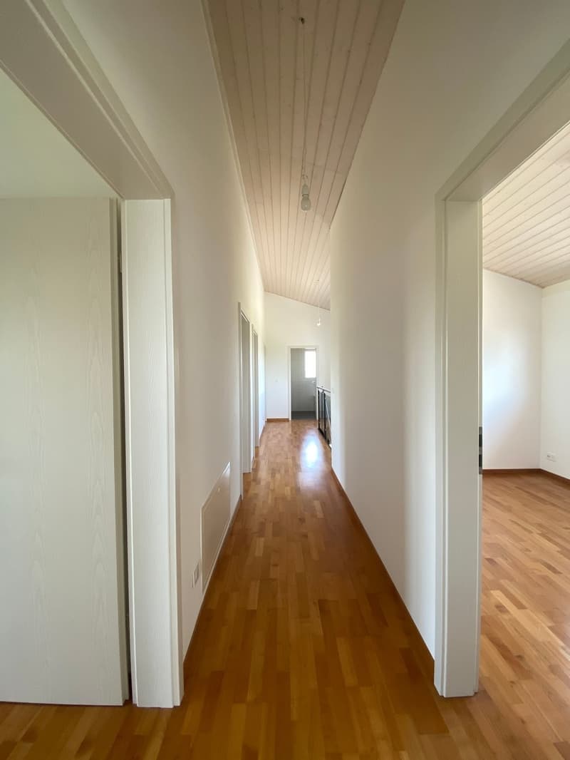 Villa individuelle de 7,5 pièces avec grands espaces extérieurs (5)