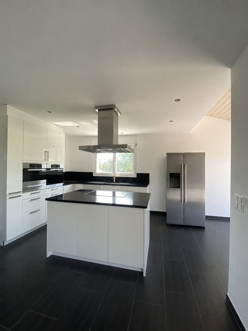 Villa individuelle de 7,5 pièces avec grands espaces extérieurs (3)