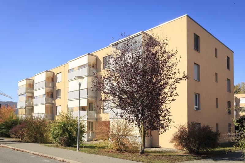 Appartement de 4.5 pièces au 2ème étage (1)