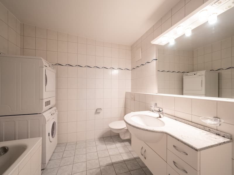 Appartement 4.5 pièces au 5ème étage attique (5)