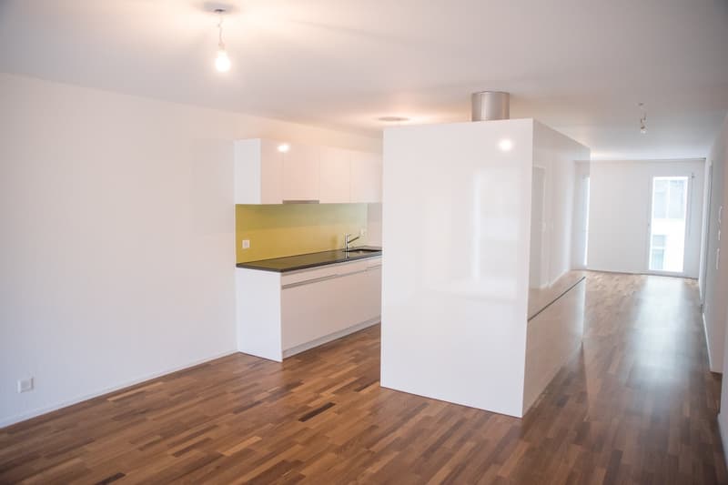 Appartement de 3.5 pièces au 5ème étage avec deux loggias (8)