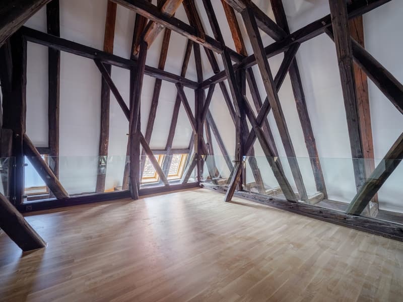 Grosse-Loft-Dach-Wohnung im Schlössli Sensebrück (4)