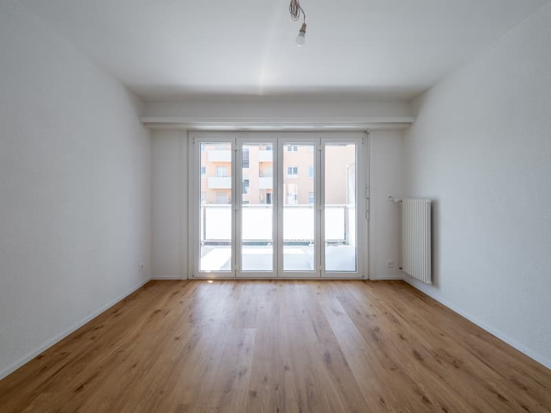 Appartement de 3.5 pièces entièrement rénové à louer (8)