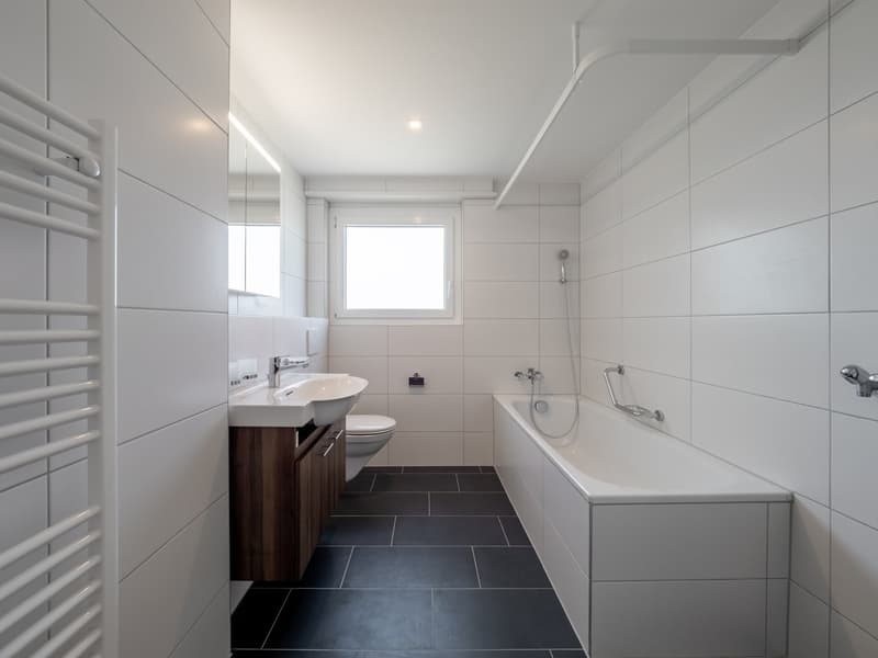 Appartement de 3.5 pièces entièrement rénové à louer (10)