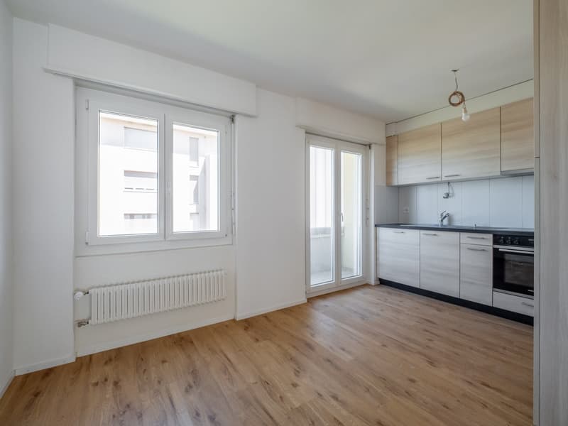 Appartement de 3.5 pièces entièrement rénové à louer (7)
