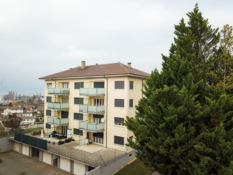 Appartement de 3.5 pièces entièrement rénové à louer (4)
