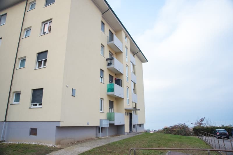 Appartement de 3.5 pièces entièrement rénové à louer (3)