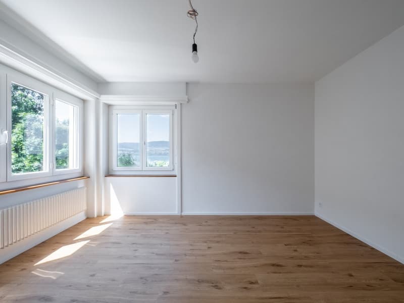Appartement de 3.5 pièces entièrement rénové à louer (9)