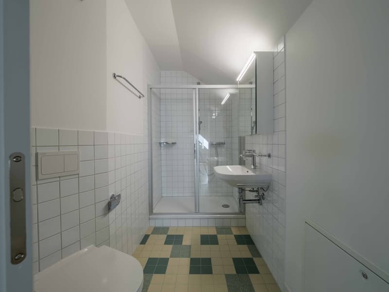 Appartement 4.5 pièces rénové au coeur de Fribourg (7)